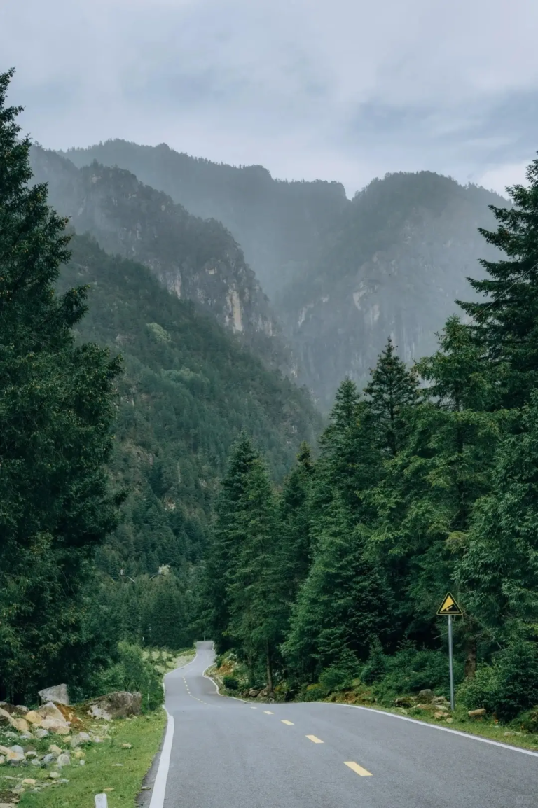 Scenic road in Danba surrounded by forests