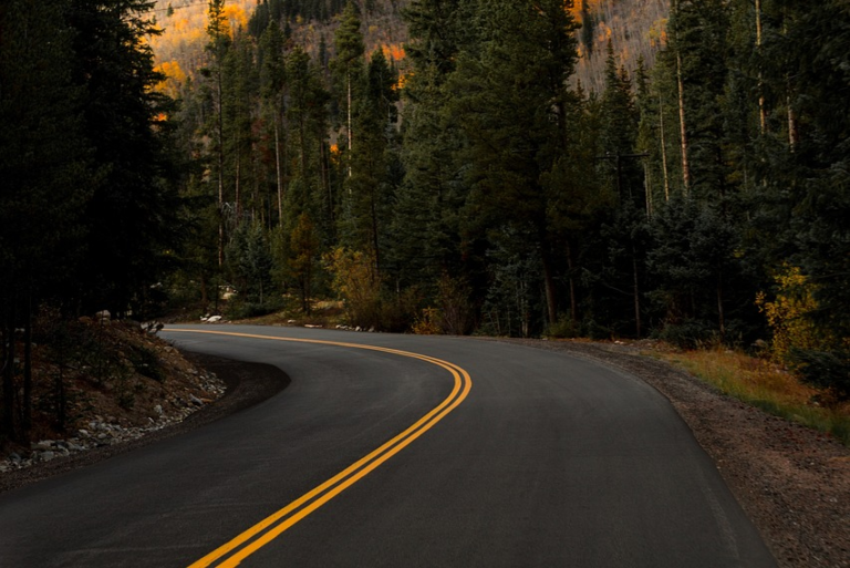 mountain, highland, trees, plant, nature, landscape, fall, autumn, road, sky