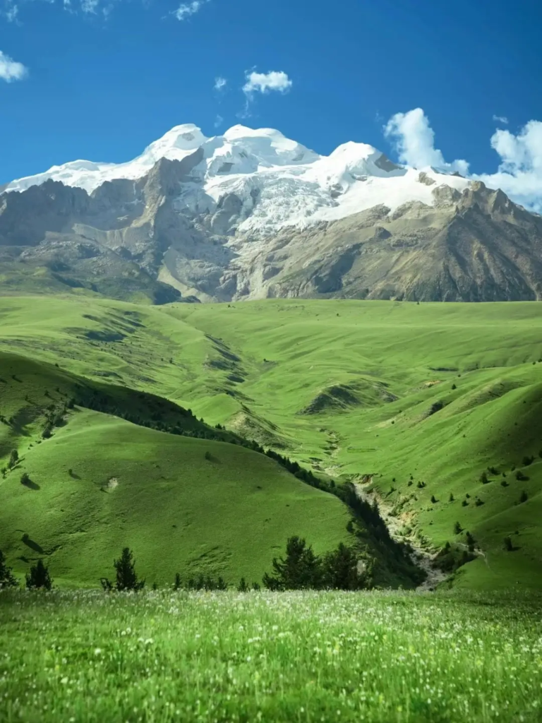 Wide alpine grassland in Gneshen mountains under snow-covered peaks