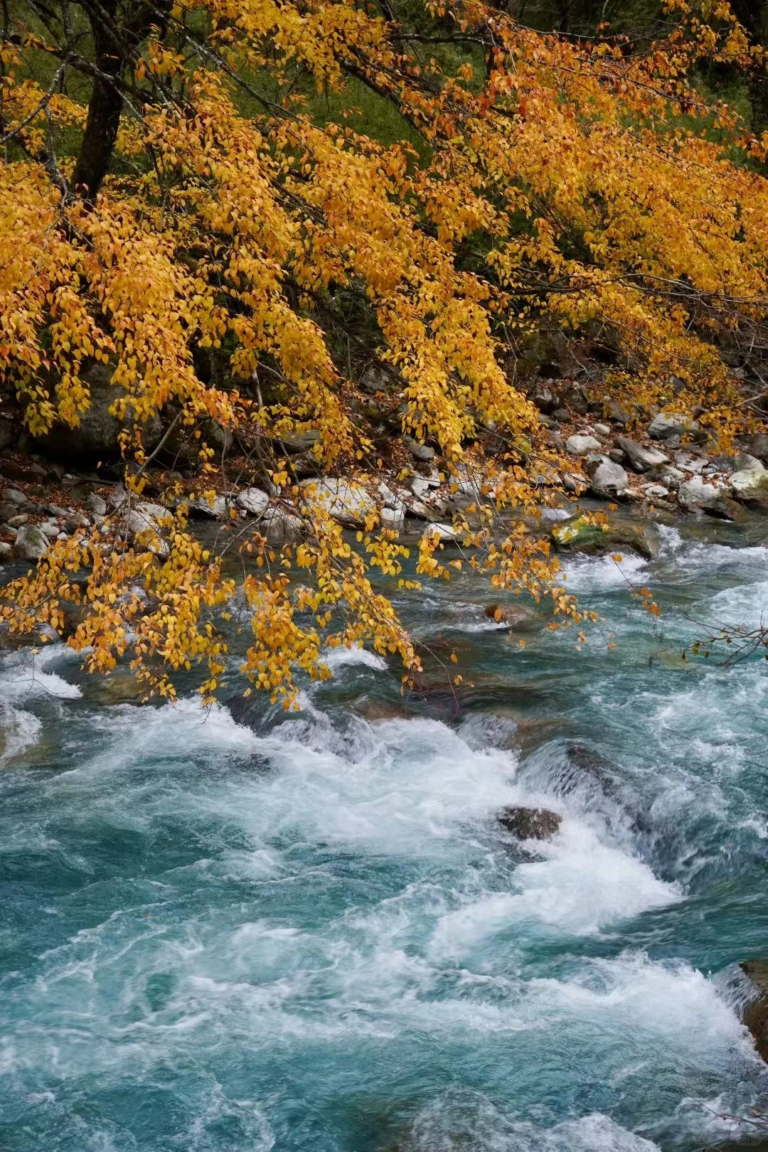 River flowing through colorful autumn forest in Labahe Scenic Area
