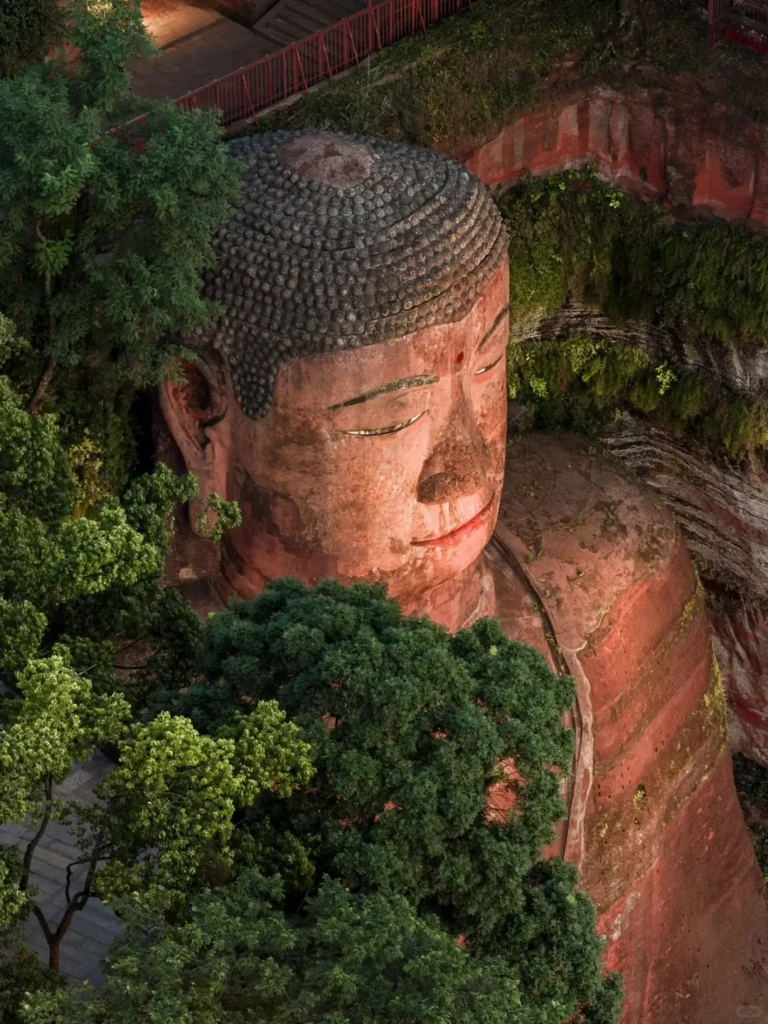 Partial view of Leshan Giant Buddha’s head surrounded by trees