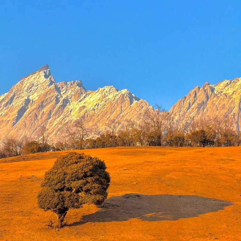 shangri-la-grasslands-and-snow-mountains
