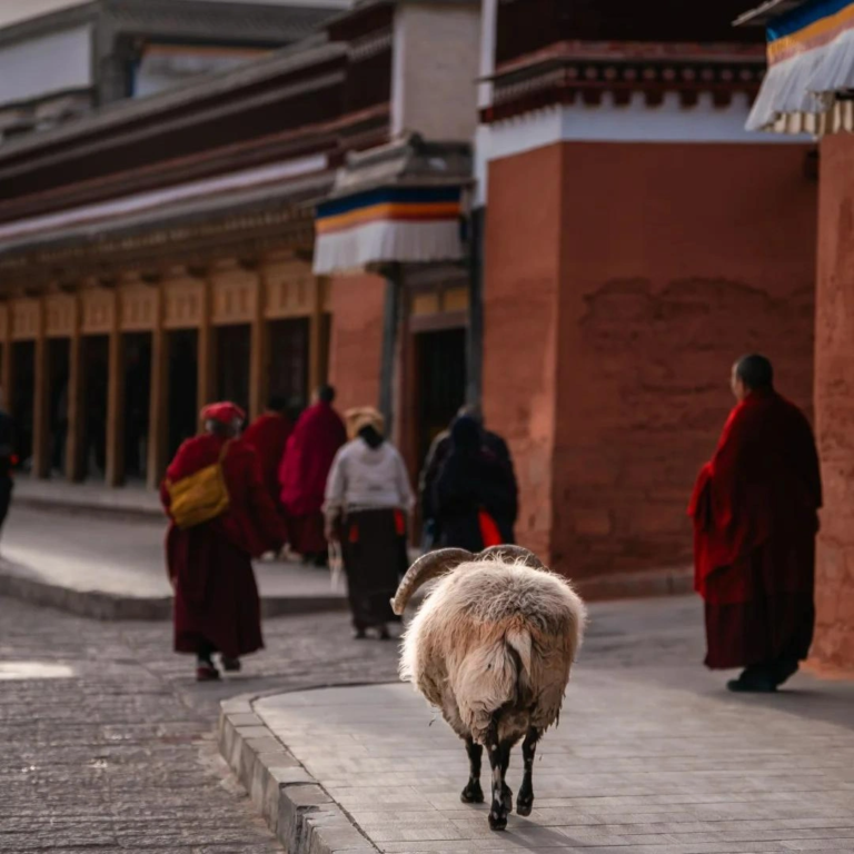 tibetan-temple-street-western-sichuan.webp
