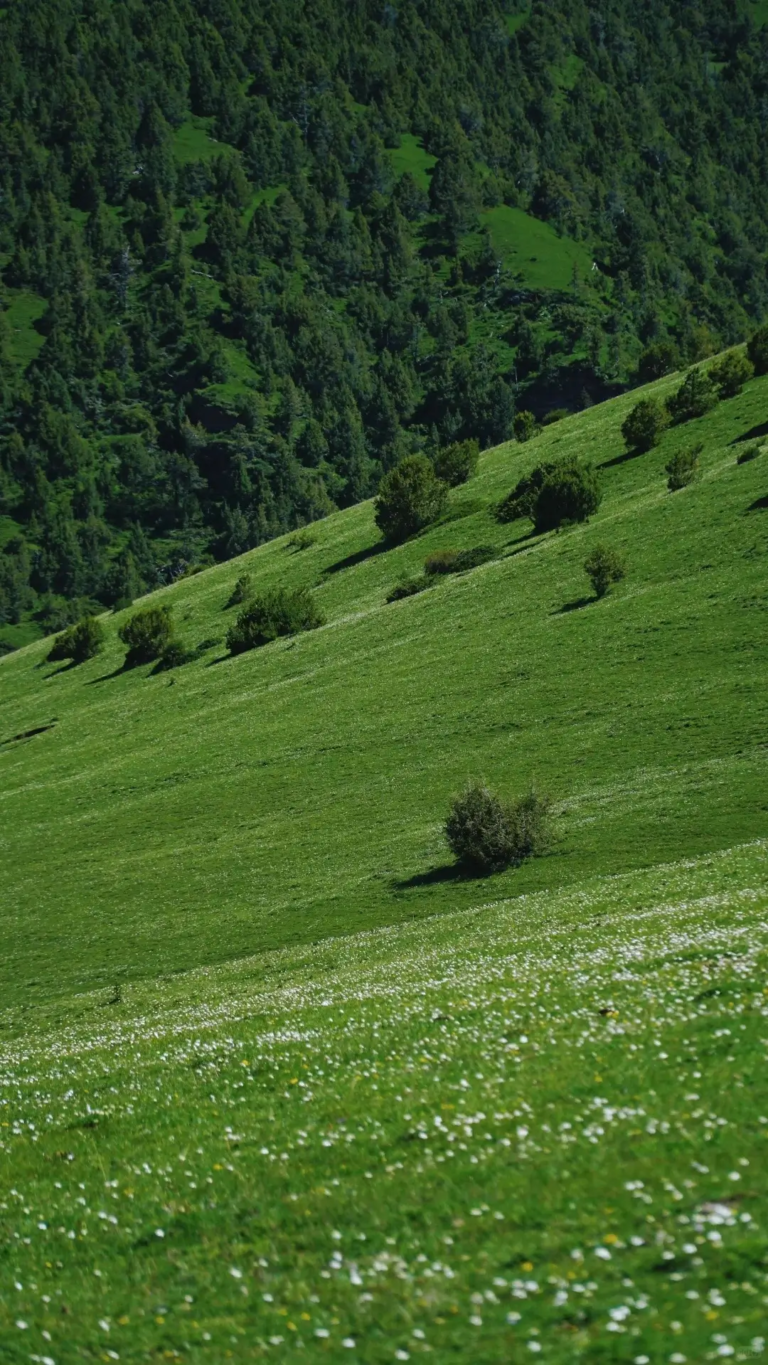 Vast green grasslands of Yuke plateau in western Sichuan