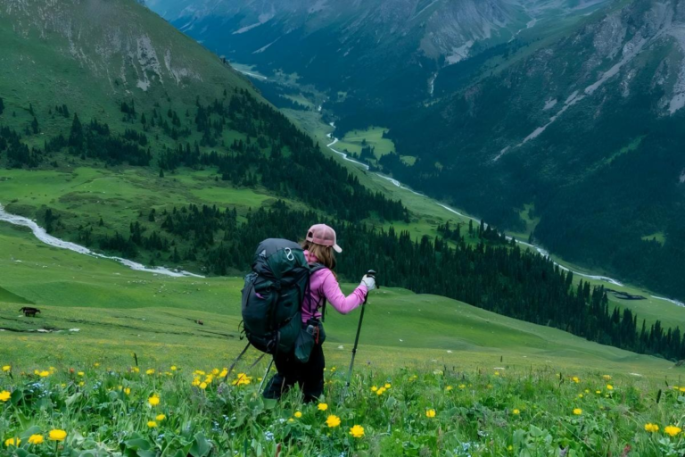 Traveler hiking across grasslands with snow mountains in the distance