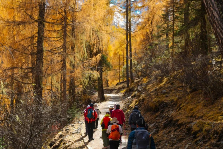 Hikers walking through autumn landscapes on the Dangling trekking route in Western Sichuan