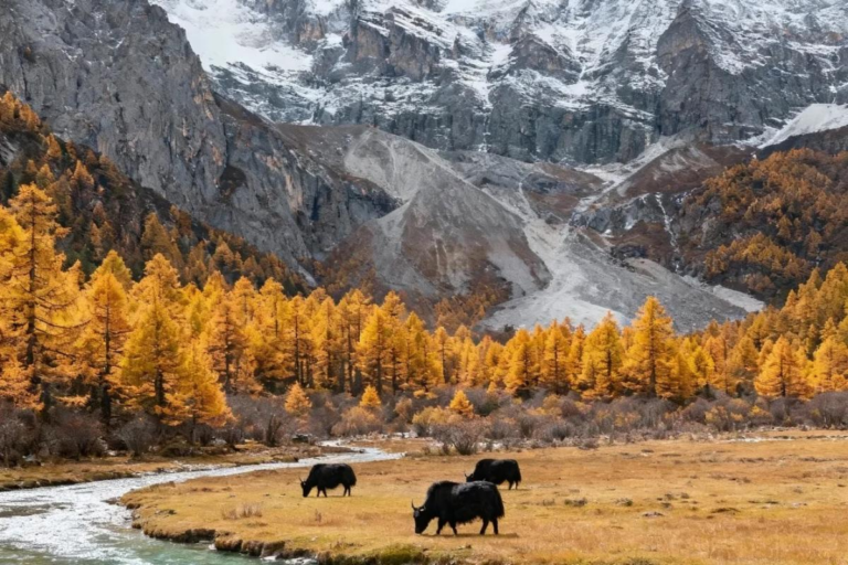 Autumn scenery of Daocheng Yading with colorful mountains