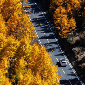 Scenic road through autumn forests and mountains in Daocheng Yading