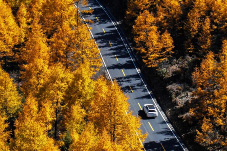 Scenic road through autumn forests and mountains in Daocheng Yading