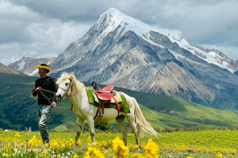 A horse in front of snow mountains at Mount Genie in Western Sichuan