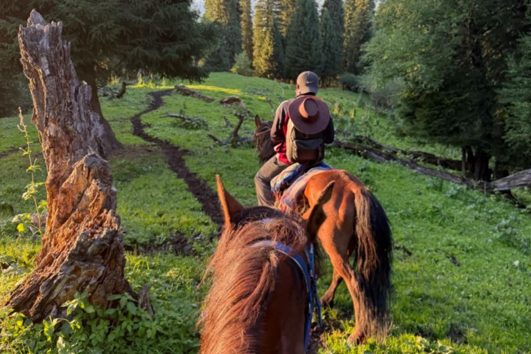 Traveler horseback riding through the landscapes
