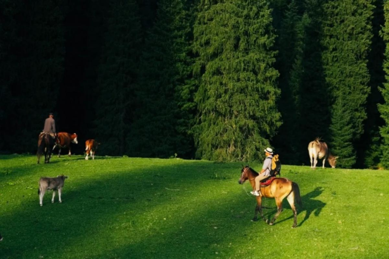 Horse riding experience across the grasslands of Xinjiang