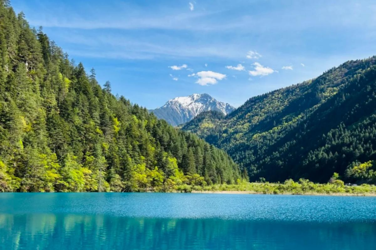 Summer scenery with clear lakes and forests in Jiuzhaigou Valley