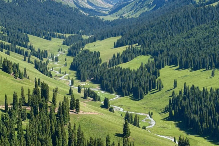 Kuerday River flowing through the Kalajun grasslands in Xinjiang