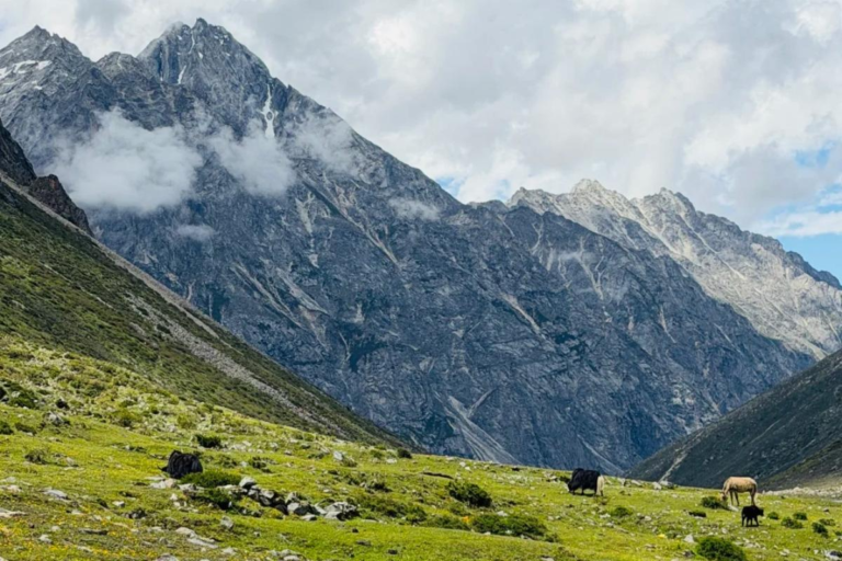 Summer mountain scenery during the Leduomanyin trekking route in Western Sichuan