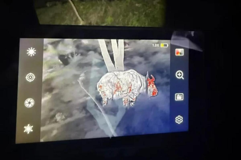 Night wildlife observation with professional equipment in Sichuan, China