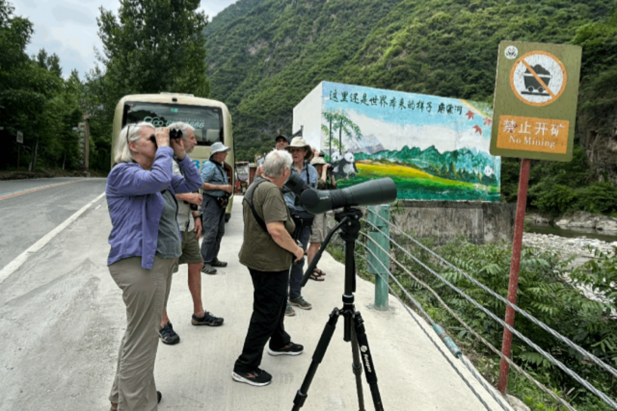 Traveler photographing wildlife during a Sichuan birding and wildlife safari in China