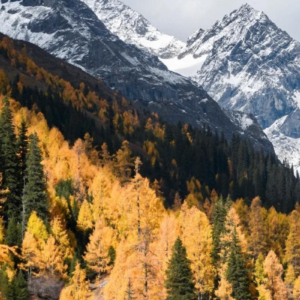 Siguniang Mountain surrounded by colorful autumn forests in Sichuan