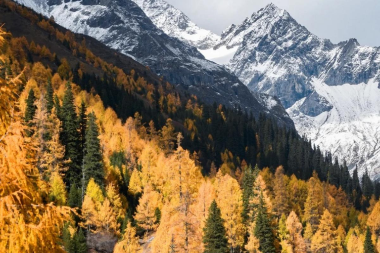 Siguniang Mountain surrounded by colorful autumn forests in Sichuan
