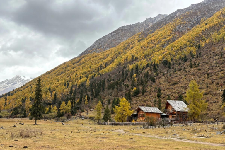 Autumn hiking scenery in Changpinggou Valley at Siguniang Mountain, Sichuan