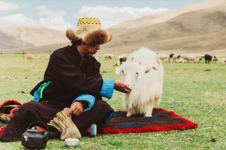 Tibetan nomads living on the plateau in Tibet
