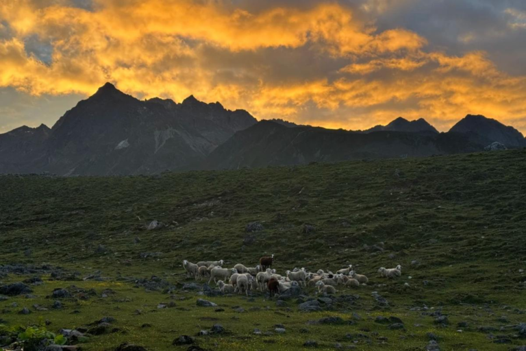 Sunset trekking scenery at Yema Haizi with mountains and grazing sheep in Kangding, Sichuan