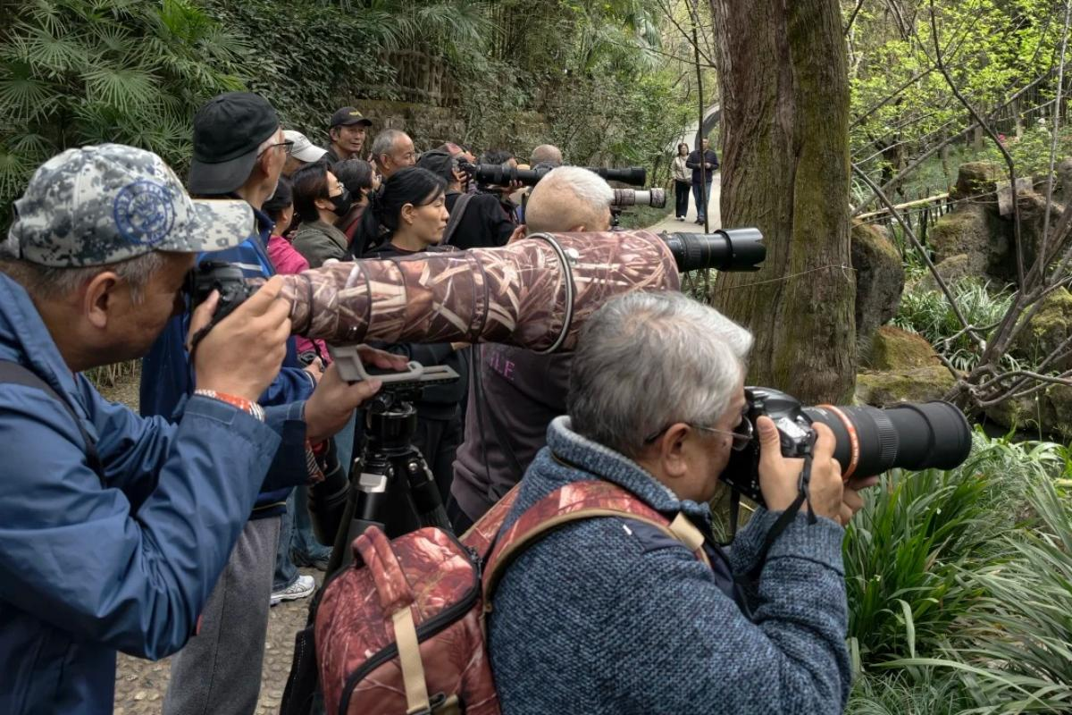 Wildlife travelers using binoculars and telephoto lenses in Western China