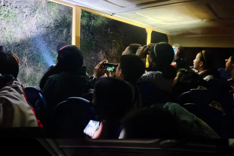 Expert-led wildlife observation in Tangjiahe Nature Reserve