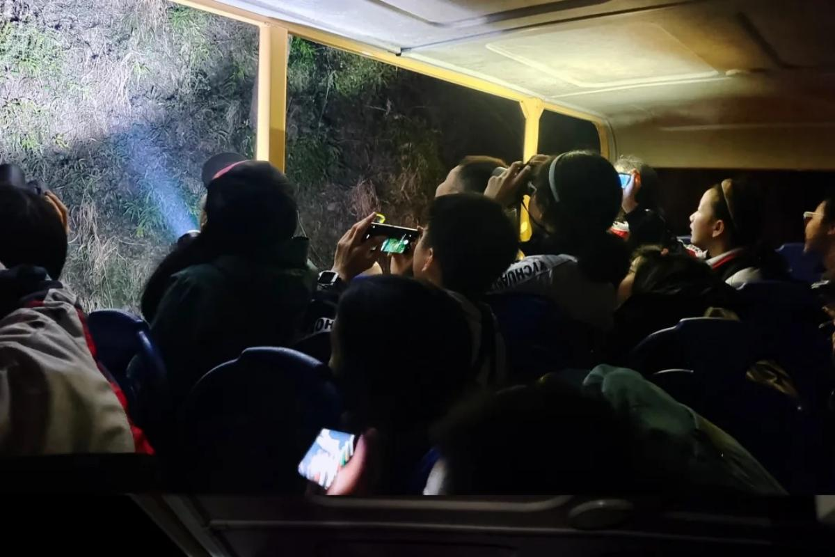 Expert-led wildlife observation in Tangjiahe Nature Reserve