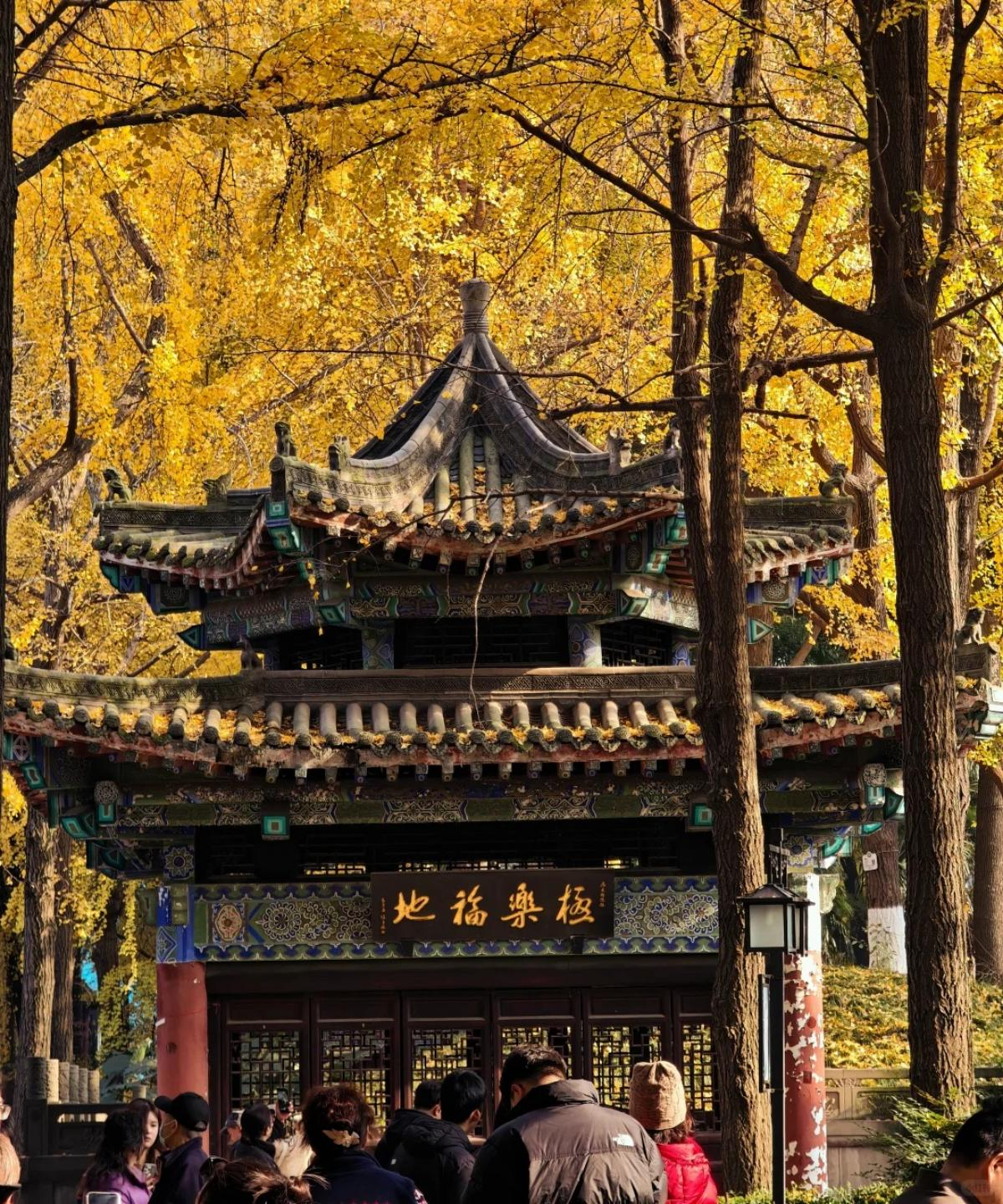 Wenshu Monastery cultural visit in Chengdu