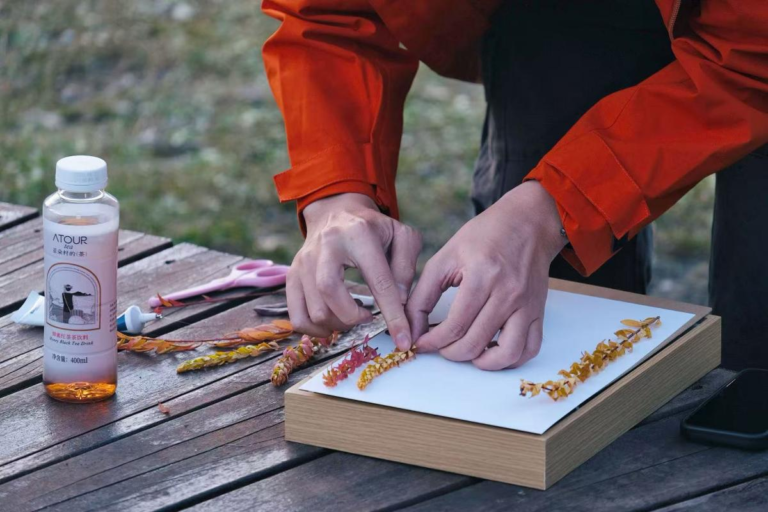 Autumn nature craft experience during a Western Sichuan journey