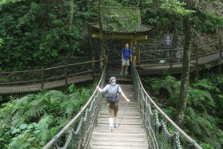 Forest hiking path on Mt. Emei during a multi-day hiking journey