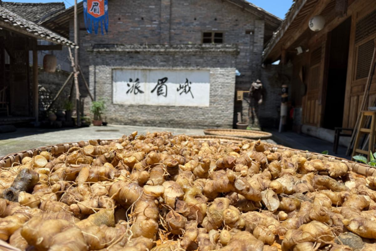 Local medicinal herbs drying naturally in a courtyard near Mt. Emei