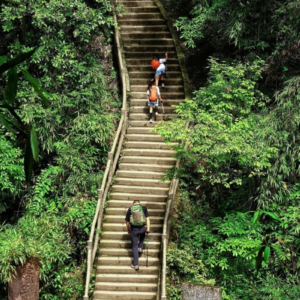 Hiking trail through the forests of Mt. Emei in Sichuan