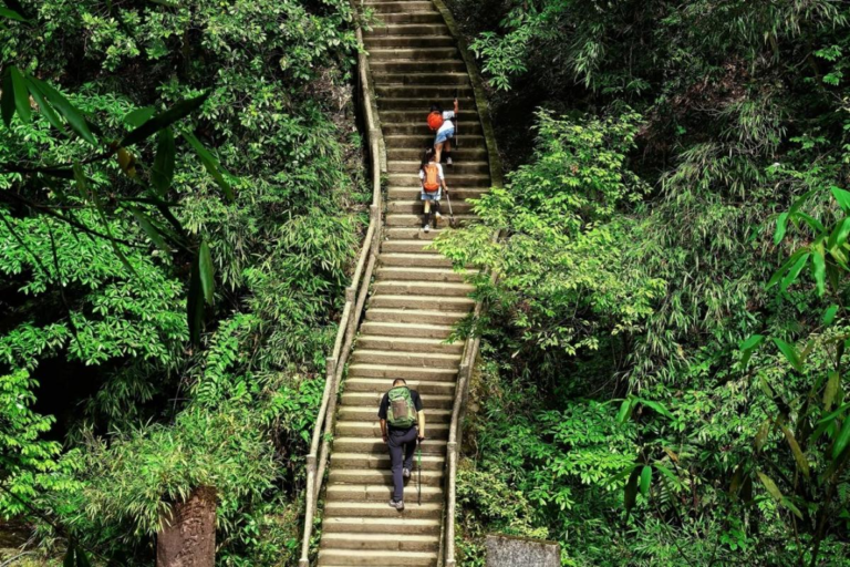 Hiking trail through the forests of Mt. Emei in Sichuan