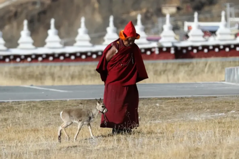 Monks with rescued highland wildlife near Muya Monastery in Western Sichuan