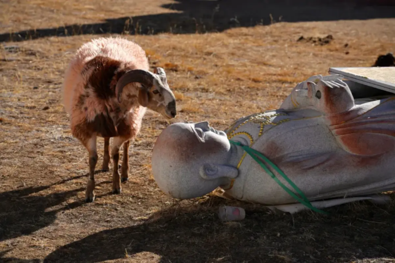 Rescued highland wildlife cared for near Muya Monastery in Sichuan