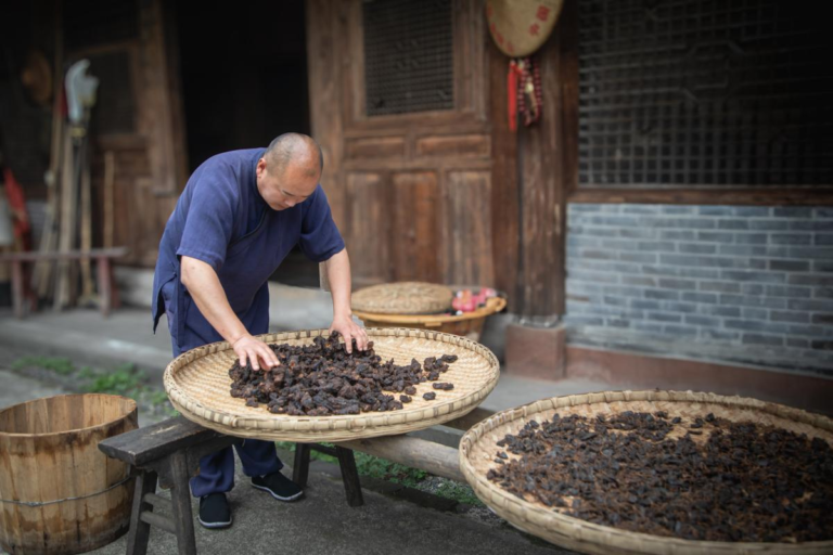 Wang Hu preparing and drying medicinal herbs traditionally in Mt. Emei